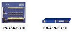Wireless Services Gateway